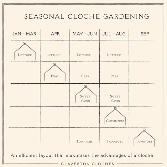 Cloche Gardening throughout the Season