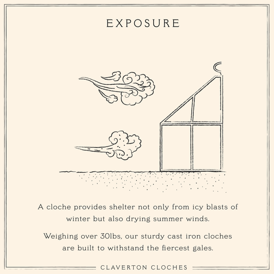 Shelter From Wind