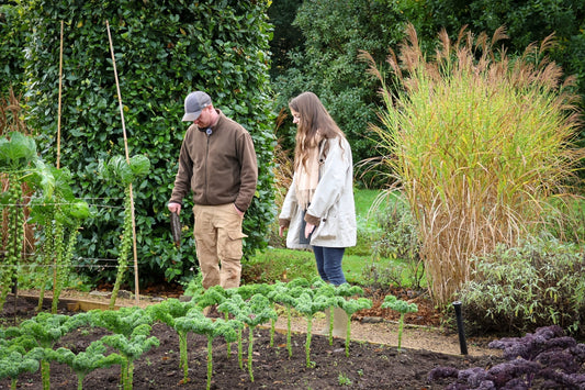 Inside the Kitchen Garden: THE PIG Near Bath