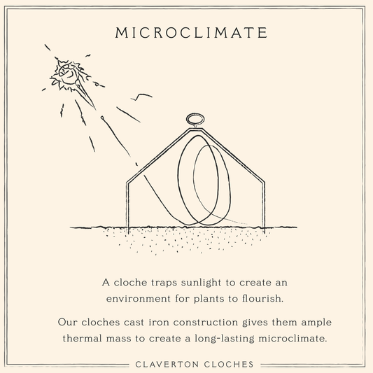 Microclimate under a Cloche