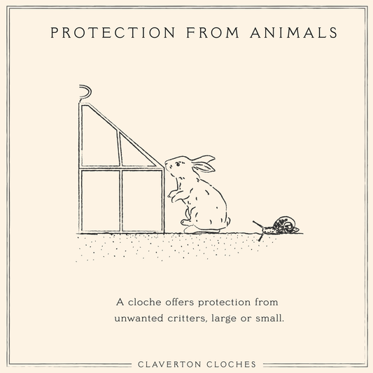 Protection from Animals