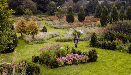 In the Garden with: Tania Compton