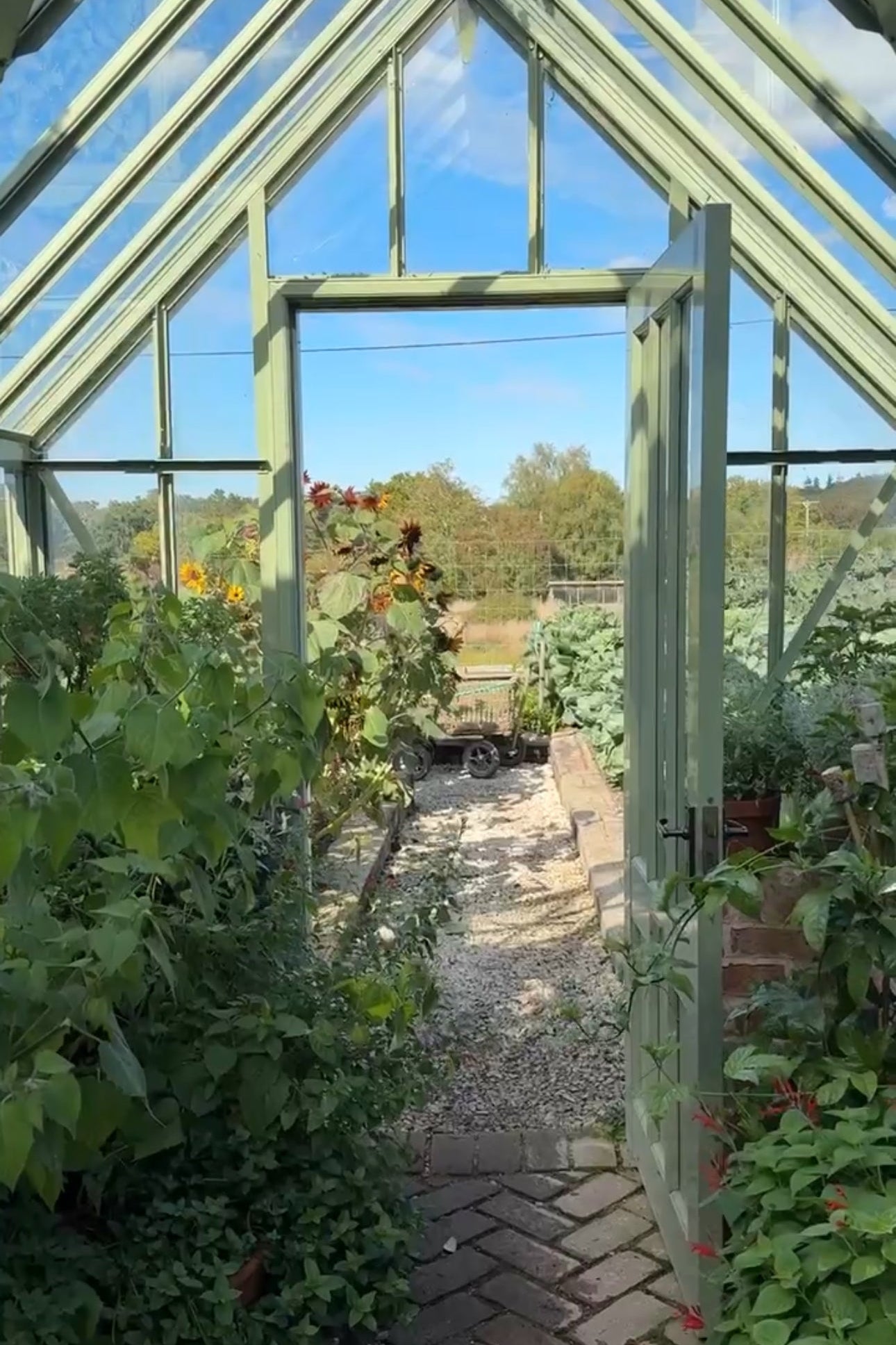 Greenhouse with plants and a garden view