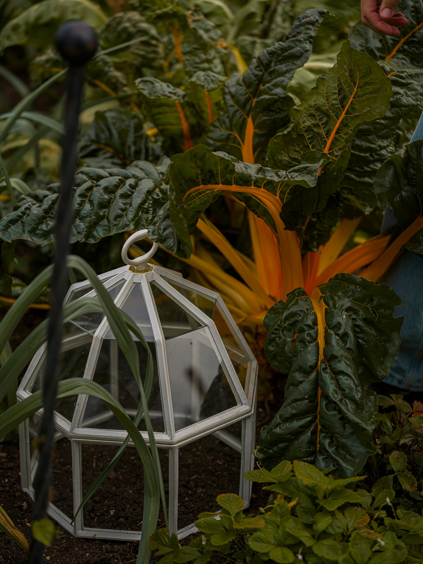 Victorian Octagonal Cloche