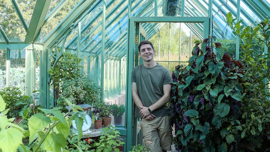 In the Kitchen Garden: THE PIG-in the New Forest