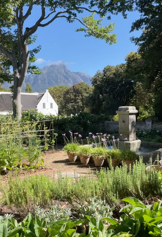 Musings: Easter, Cape Town & Newness Afoot