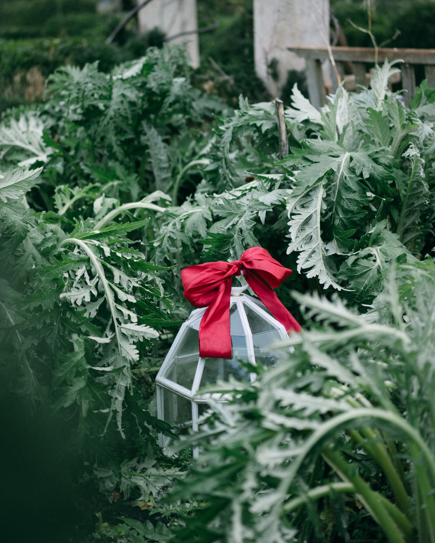 Discover our Victorian cloches