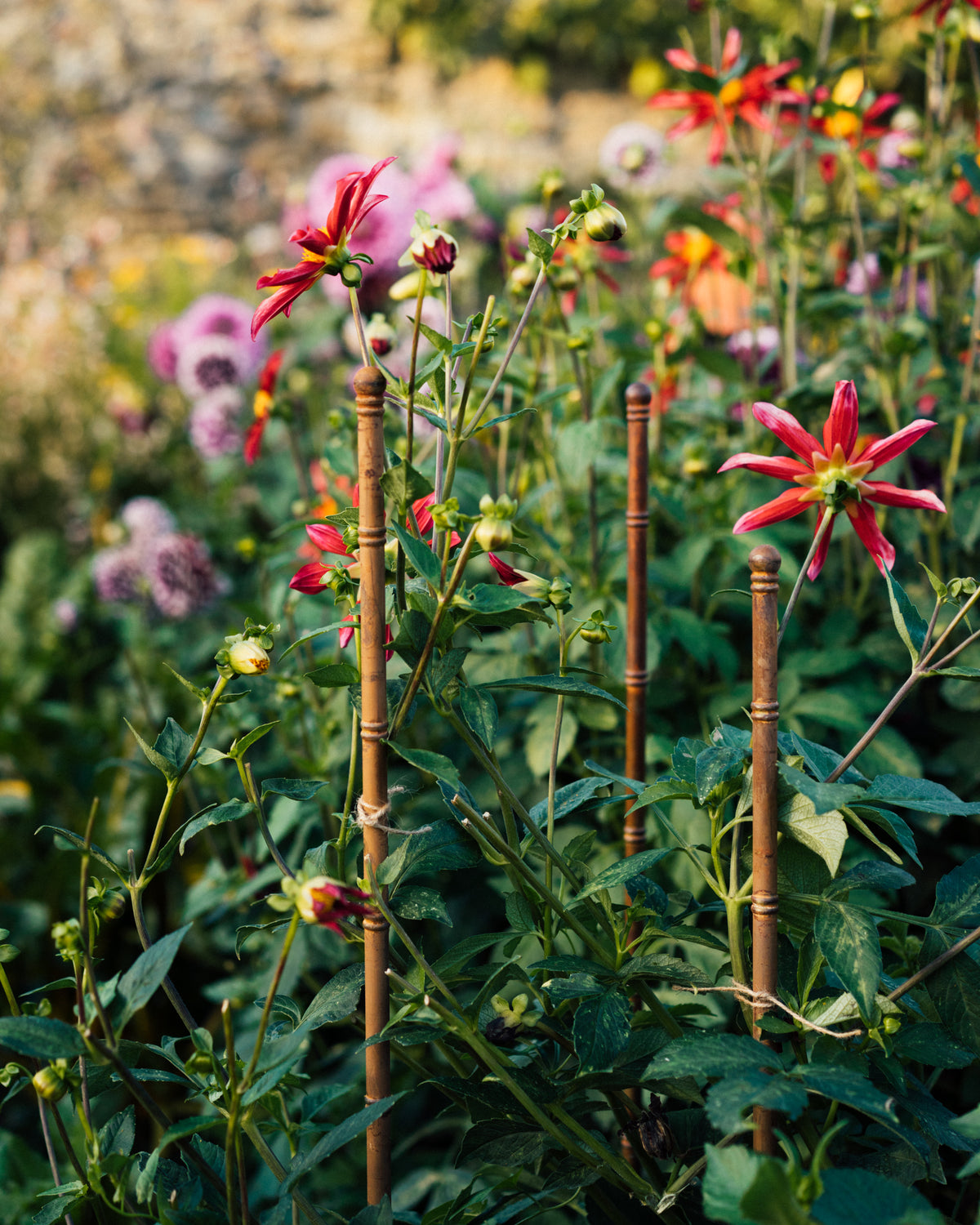 The Pavilion Plant Stake (Set of Three)
