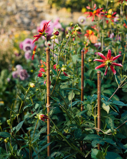 The Pavilion Plant Stake (Set of Three)