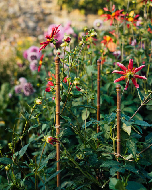 The Pavilion Plant Stake (Set of Three)