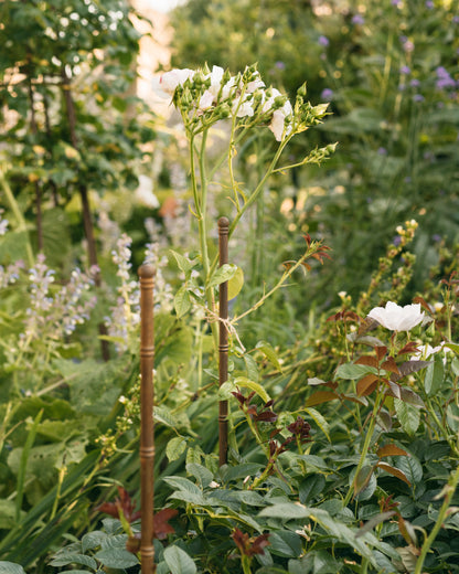 The Pavilion Plant Stake (Set of Three)
