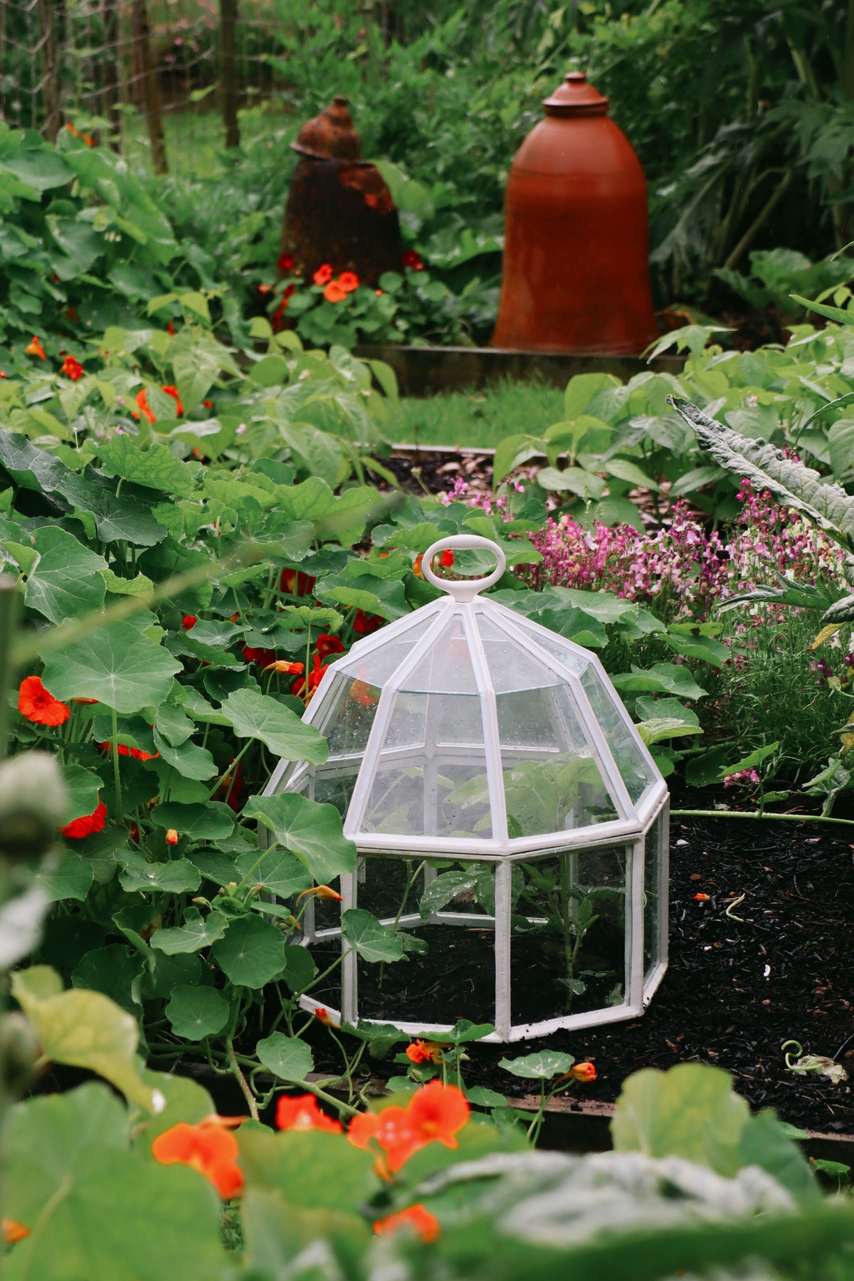 Victorian Octagonal Cloche