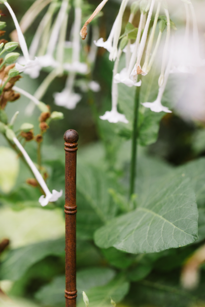 The Pavilion Plant Stake (Set of Three)