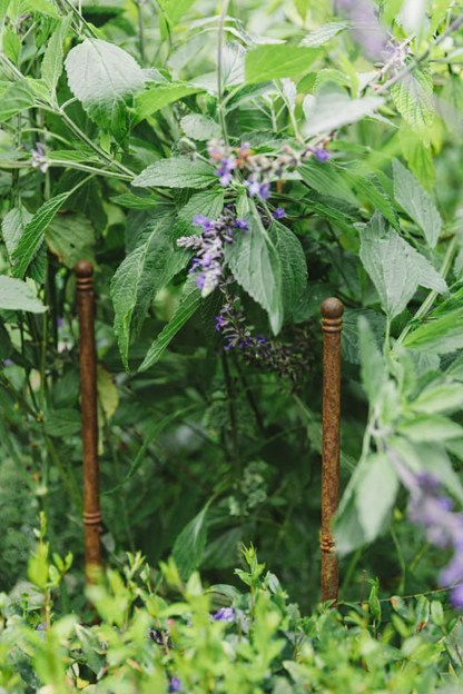 The Pavilion Plant Stake (Set of Three)