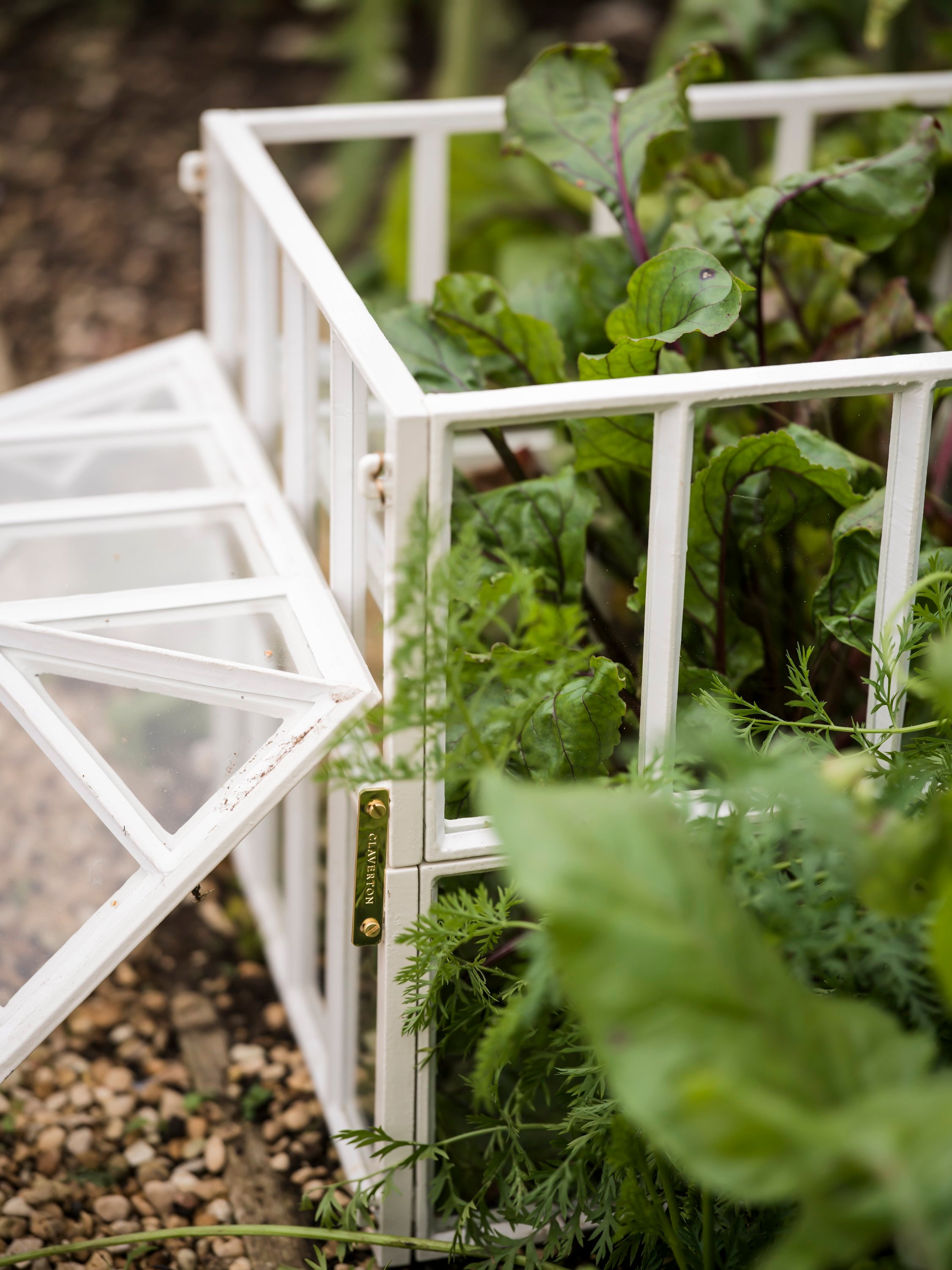 Cloche Stackable For Taller Plants Requiring Cloche Cover – Claverton Cloches