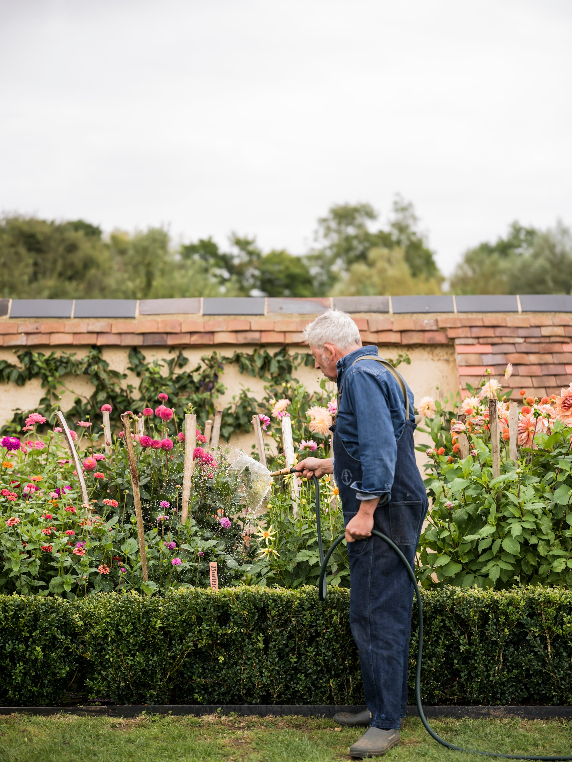 In the Garden with: Matthew Rice, Watercolourist, at His Home in Oxfor ...