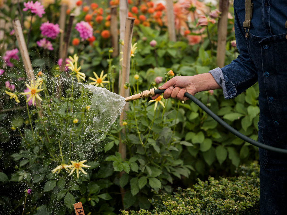 Beautiful Garden Hose